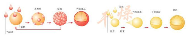 底喷流化床包衣制粒机应用 底喷流化床包衣制粒机应用